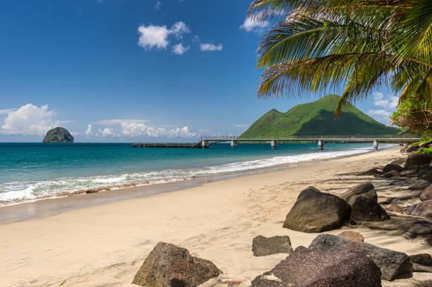 Partir en vacances à la Martinique