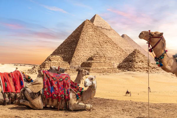 Visitez les pyramides en Égypte